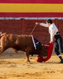 Faena de muleta en el festival taurino de la Feria de Herencia 2026