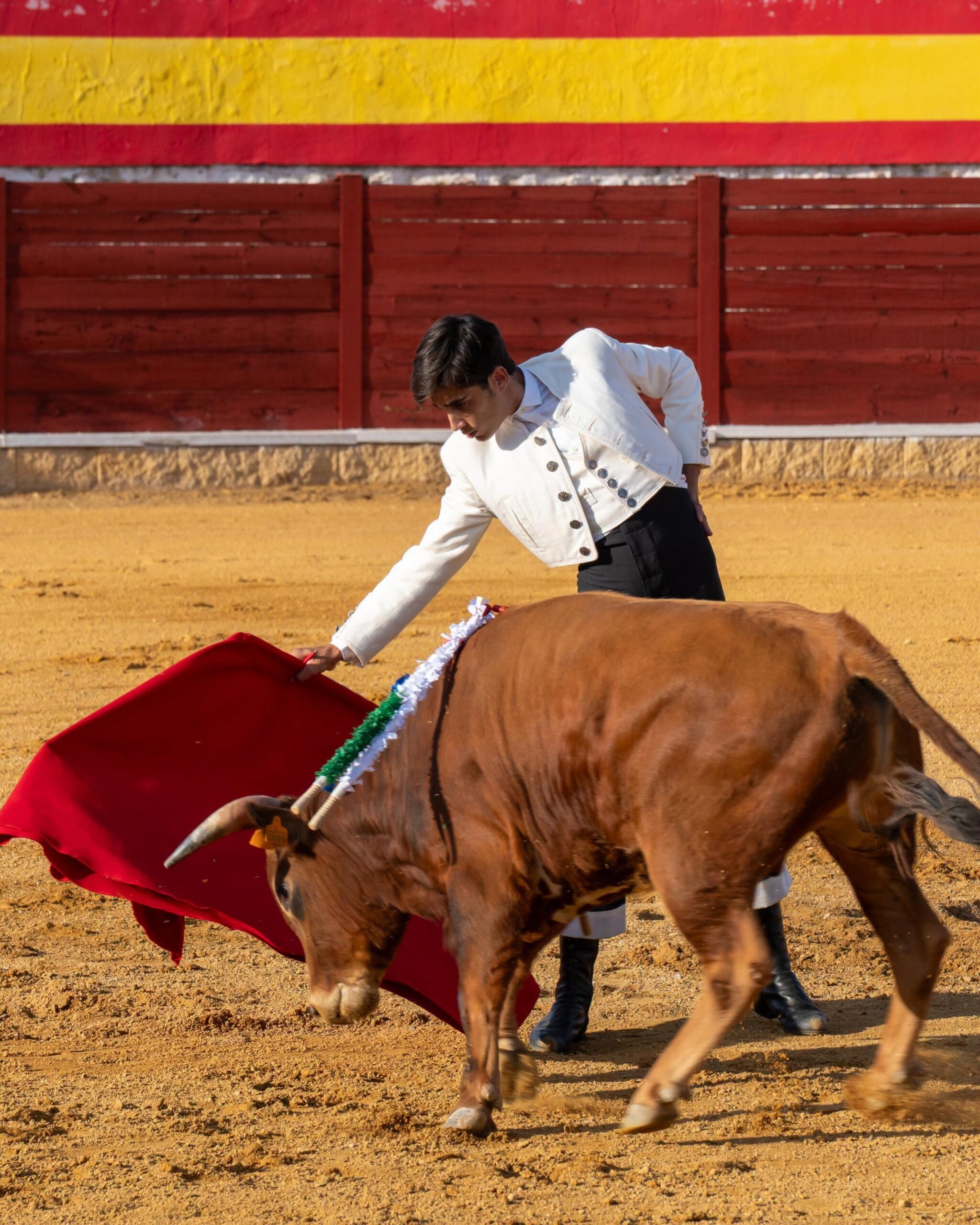 Pase de muleta a un novillo en el festival taurino de Herencia 2026